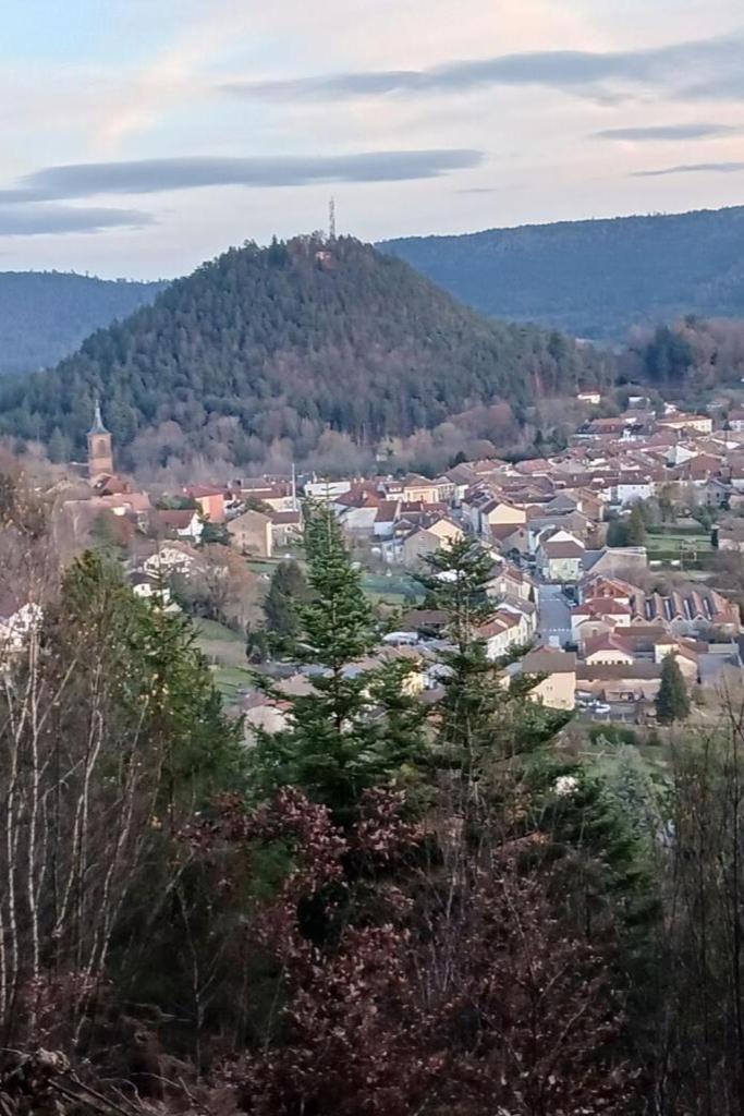 Charmant Gite, Au Calme, Avec Vue Imprenable Sur La Nature Environnante Deycimont Esterno foto