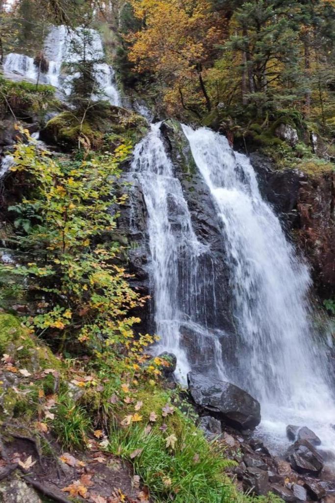 Charmant Gite, Au Calme, Avec Vue Imprenable Sur La Nature Environnante Deycimont Esterno foto