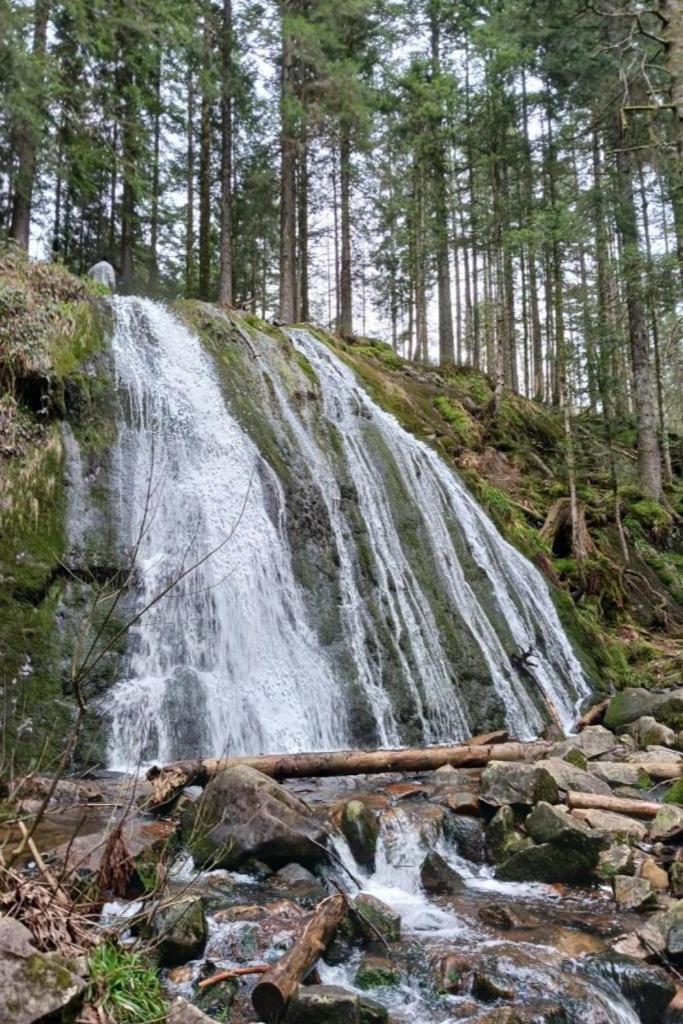Charmant Gite, Au Calme, Avec Vue Imprenable Sur La Nature Environnante Deycimont Esterno foto