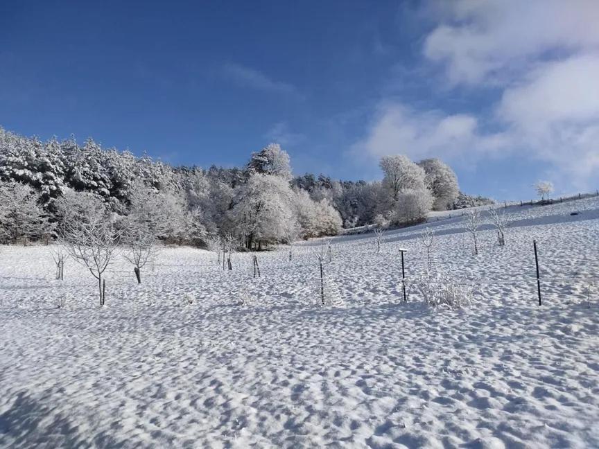 Charmant Gite, Au Calme, Avec Vue Imprenable Sur La Nature Environnante Deycimont Esterno foto